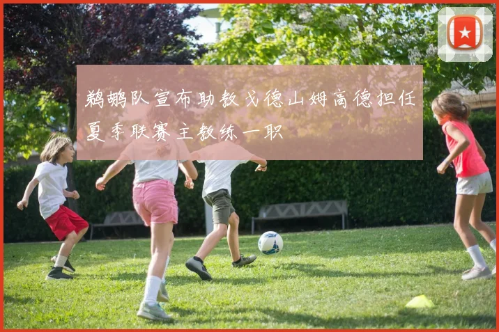 鹈鹕队宣布助教戈德山姆高德担任夏季联赛主教练一职
