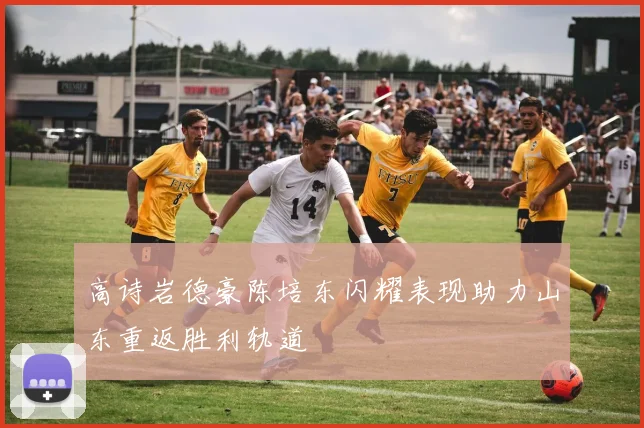 高诗岩德豪陈培东闪耀表现助力山东重返胜利轨道